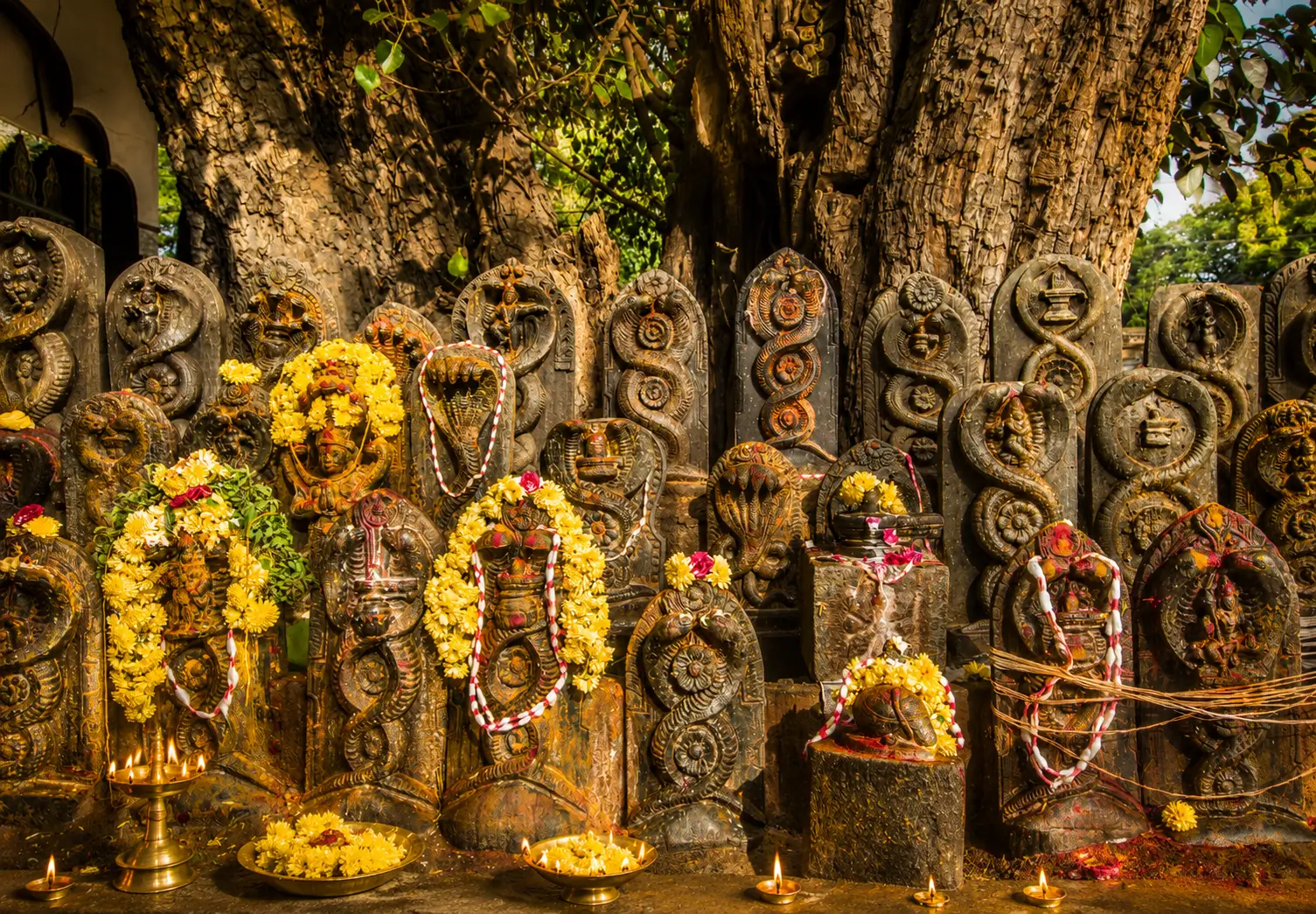 Naga stone shrine under a
          tree